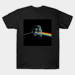 Dark Side of The Skull T-Shirt